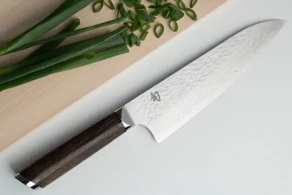 Fuji Chefs and scallions